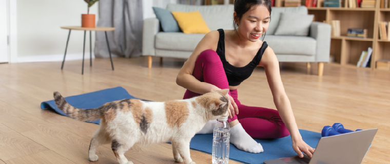 Cat and female owner exercising together at home. Sporty asian lady watching online training tutorial while sitting on mat near her pet, having morning yoga.